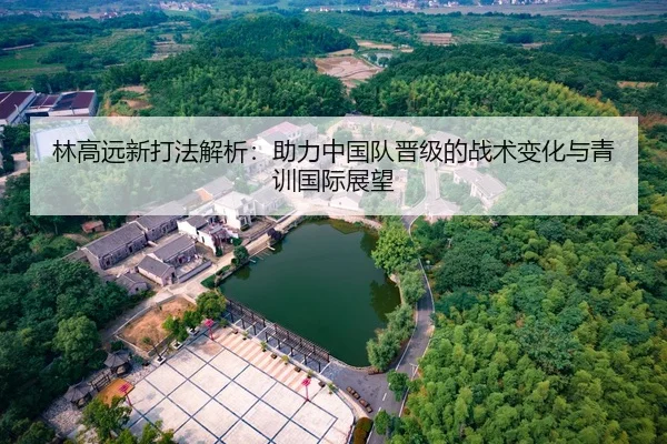 林高远新打法解析：助力中国队晋级的战术变化与青训国际展望 - HG